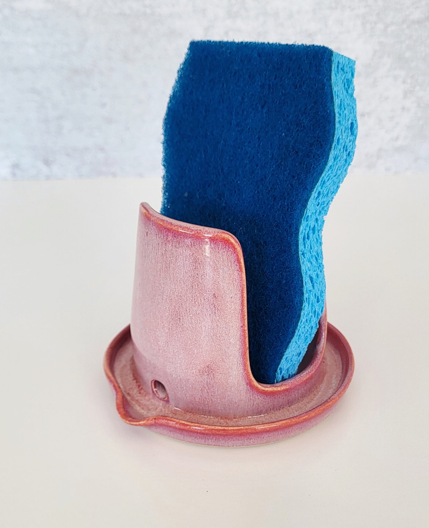 Sponge Holder 02